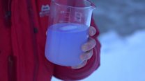 Warmer waters threaten Arctic Ocean life