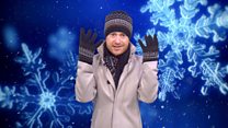 So what actually IS a polar vortex…?