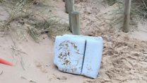 Walker finds 'cushion from missing plane'