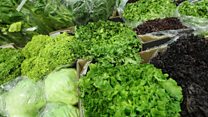 ما معنى عبارة Nutritious Vegetables؟
