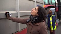 The vegans who hold vigils for cows