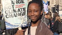 Pupils skip school for environmental protest