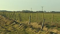 Cymunedau Môn yn gwrthwynebu fferm solar