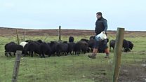 Comataidh Thaghte a’ coinneachadh ri croitearan