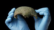 Human skull discovered in the Thames