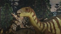 Wallaby-sized dinosaur discovered in Australia