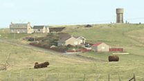 Crofting