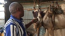 እናጠፍአ ዝኸይድ ዘሎ ዘይቲ ዓሰራ