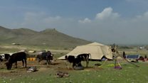 د کوچیانو ستونزې