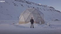 Arktikanın -30C şaxtasında tərəvəz becərən fermer
