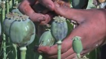 کندهار: لسګونه زره ماشومان له زده کړو بې برخې دي