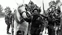 How George the horse helped win the war