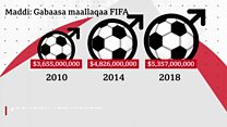 Waancaa Kubbaa Miilaa Dubartootaa 2019 lakkoofsaan