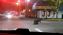 Driver films people crawling out of manhole cover