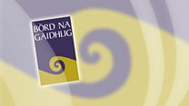 Agallamh le ceannard Bhòrd na Gàidhlig, Shona Niclllinnein