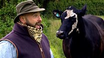 Musical medicine on the farm