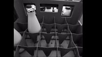 Milk Bottles