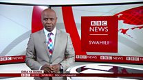 Matangazo ya Dira ya Dunia TV