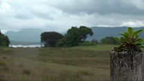 Lochaline