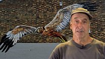 Giant street art paintings to celebrate wildlife