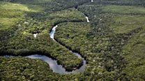 Ex-rebels become eco-warriors to save rainforest