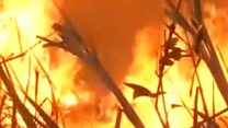 Amazon wildfires: who does the president blame?