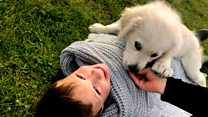 'He's your best friend but a different species'