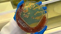 How bacteria could make fashion more eco-friendly