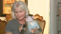 US woman fights to keep her monkeys