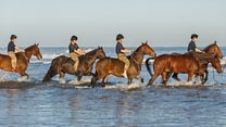 King's Troop Royal Horse Artillery train on beach