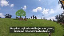 Paarkii Tokkummaa