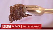 Click: Келечекте космонавттар жечү этин өздөрү өстүрүп калабы?