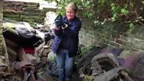 Stray cats increase in Bradford