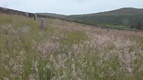Ath-sgrùdadh air seirbheis ghoireasan Chomhairle na Gàidhealtachd