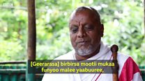 Jifaarawwan saglan geerarsaa