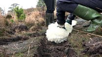 Fleece path