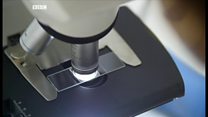 NIgeria: la première biobanque d’Afrique.