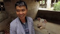 中国非洲猪瘟疫情:只剩一只猪的广西猪农