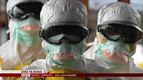 Matangazo ya Dira ya Dunia TV