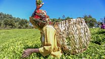 Izi miliyari 3US$ zigenewe Afrika mwari muzi uko mwozironkako?