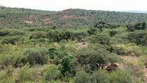 Making Ethiopia green again