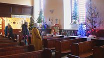 XMas Trees