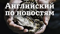 Lingohack: английский по новостям / Английский язык: аудио, видео и тесты Би-би-си