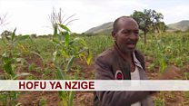 Matangazo ya Dira ya Dunia TV