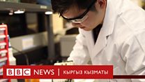 Click: Күйүктөн жабыркагандарды айыктырган тери
