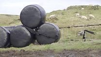 SILAGE