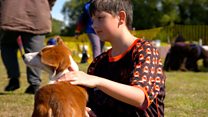 Autism, flyball and me