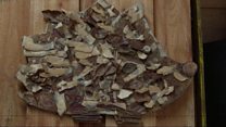 Wooden Dementia
