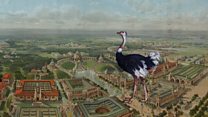 BBC Concert Orchestra at Grange Park Opera: Cancelled: Grange Park Opera, Meet Me in St. Louis