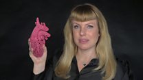 The woman creating art with human cells